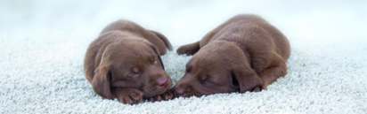 Blog Header Image Blog Header Image